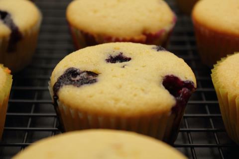 Unfrosted blueberry cupcakes